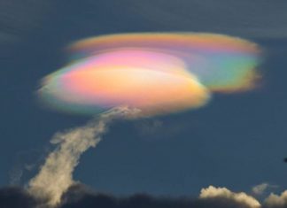 La fin d’année sera chargée d’amour